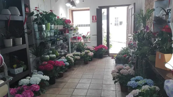 Floristeria Vimar - Floristería en Borriol