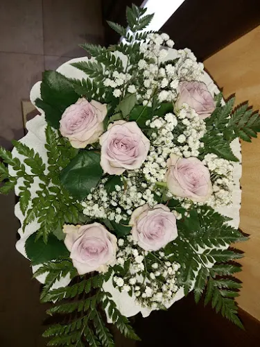 Petals - Sant Joan de Moro