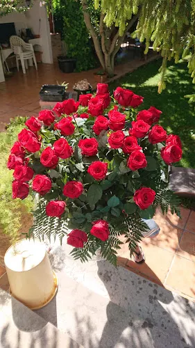 Floristería La Gardenia - les Coves de Vinroma