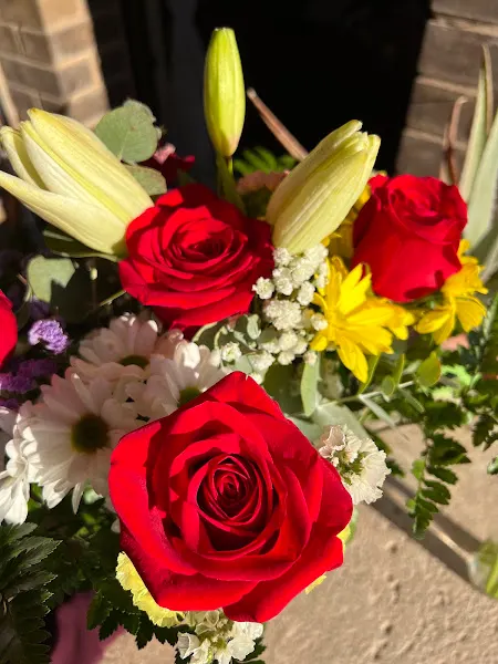 Verdeflor Floristas - Castellón de la Plana