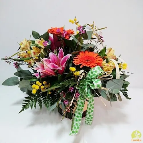 Floristería Lourdes - Castellon de la Plana/Castello de la Plana
