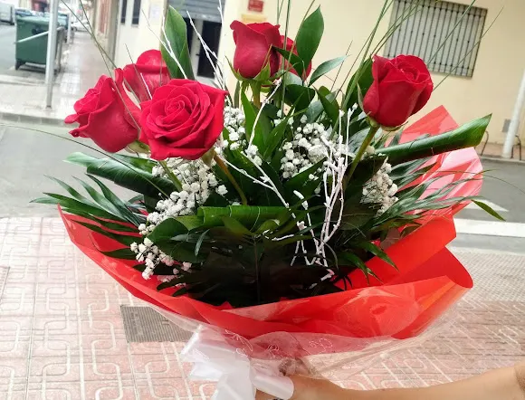 Floristería Oroagro - Oropesa del Mar/Orpesa
