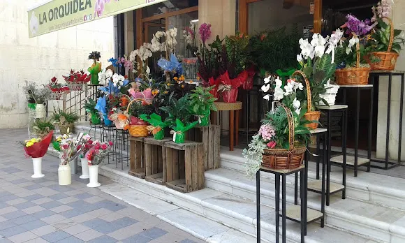 Floristeria La Orquídea Castellón