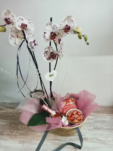 Tulipans, Art en Flor i Regals - Castellon de la Plana/Castello de la Plana