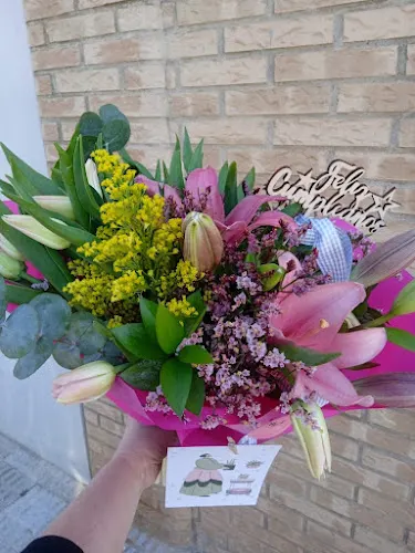 Achilea. Floristería y Jardinería