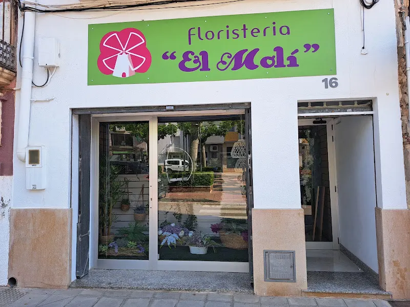 Floristeria El Moli - Ulldecona