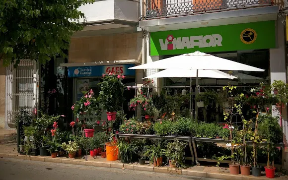 VINAFLOR