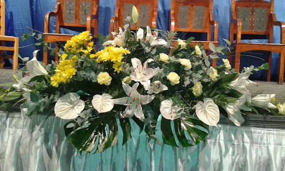 Jardinería Gaby - Floristería en Senia (La)