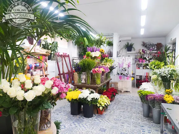coronafuneraria.com
