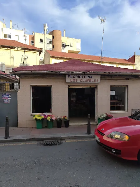 Floristerías Los Claveles - Ceuta