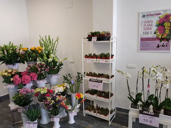 Floristeria Peñiscola - Floristería en Peniscola/Peniscola