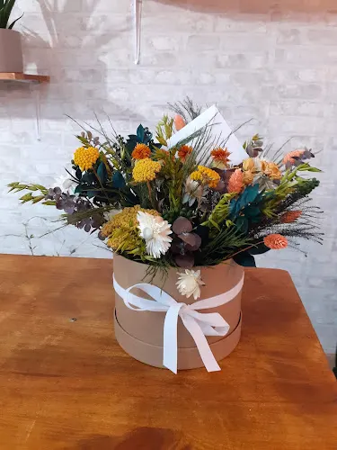 EVENTS FLORATROPIC - Onda