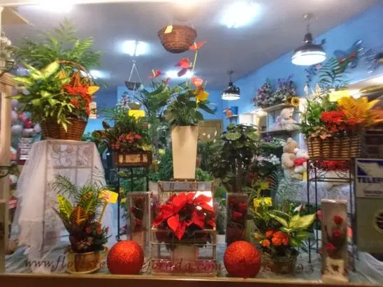 Floristeria Mejorada