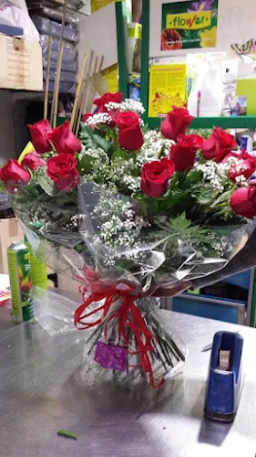 Floristería Pife