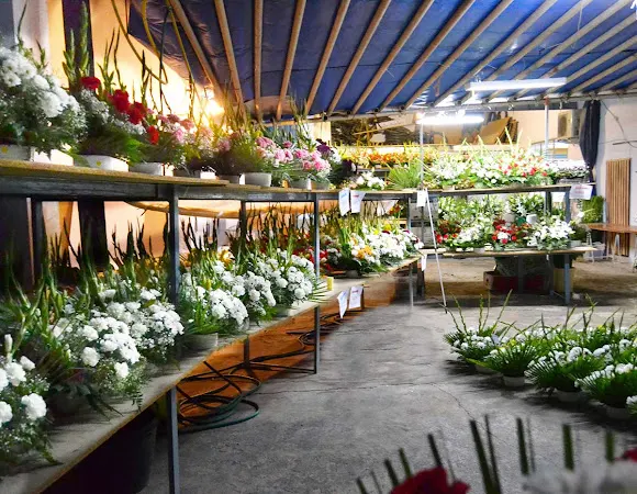 Floristería Tu Jardín - Floristería en Miguelturra
