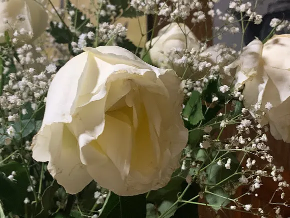Floristería Ortega Utrilla