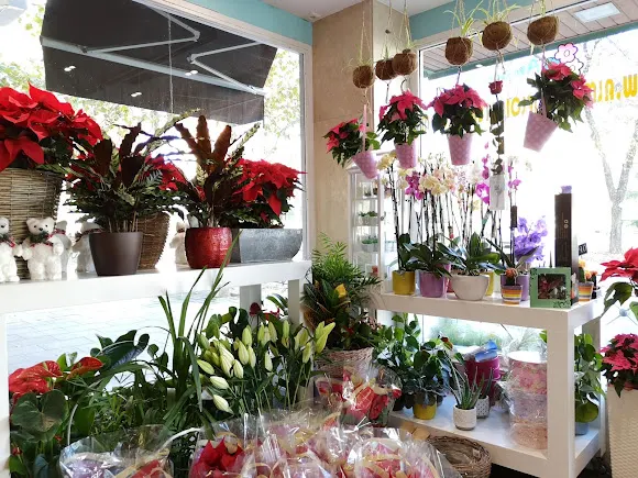 Floristería Almudena
