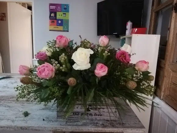 Floristería S. Antonio Saúl