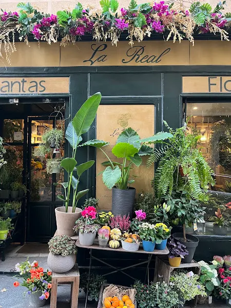 La Real Flores y Jardines