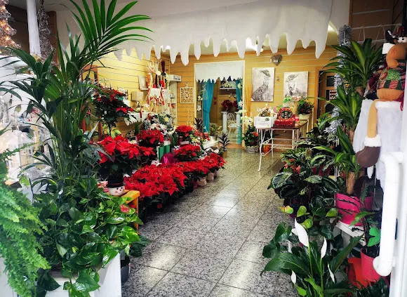 El Jardin de San Marcos