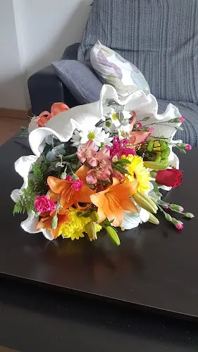 floristeria san francisto