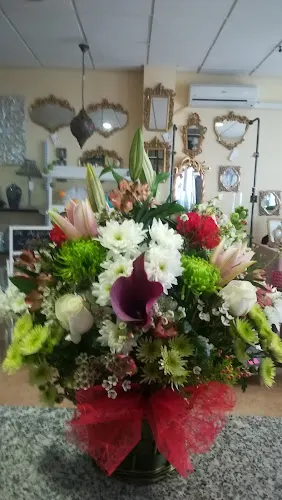 Floristería Mari Carmen - Fuente Obejuna