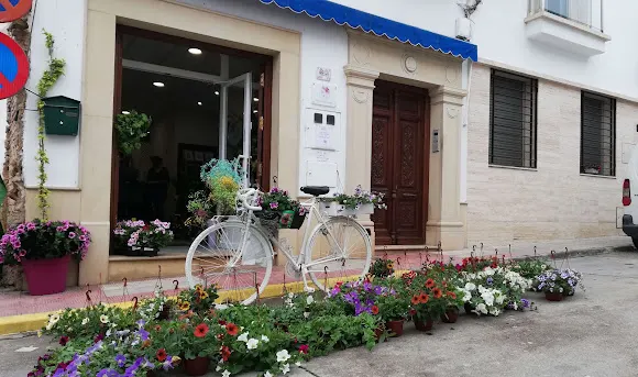 Buganvilla Floristería & Decoración