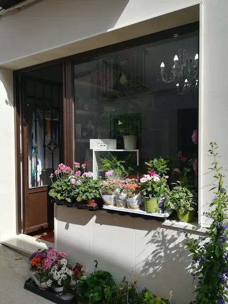 Aire Floristas - Carcabuey