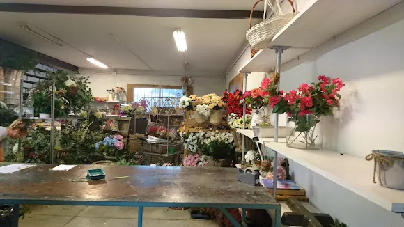 Floristería Andaluflor - Floristería en Córdoba