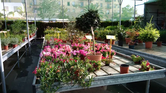 Floristería Huerta Del Galeón - Lucena
