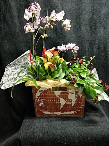 MY Floristería