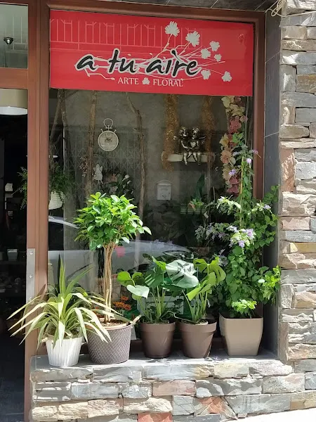 A Tu Aire. Arte Floral - Floristería en Rute