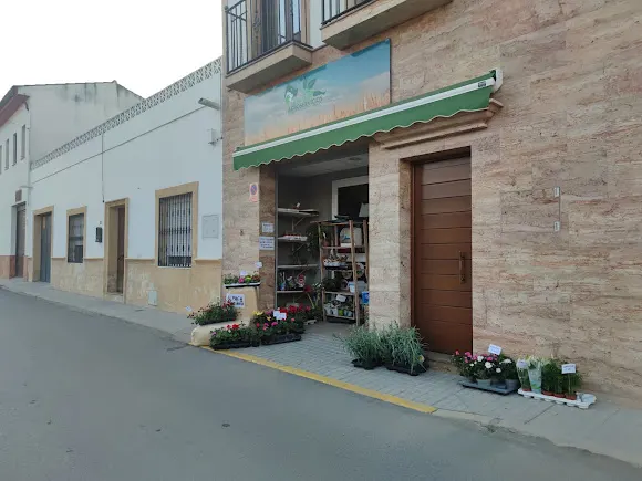 AGROSERVICIOS MORALES, PIENSOS, SEMILLAS Y CEREALES
