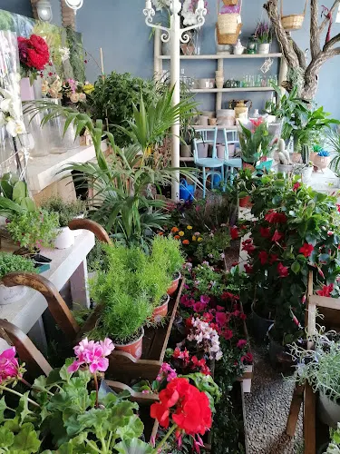 Floristería Córdoba Puri León