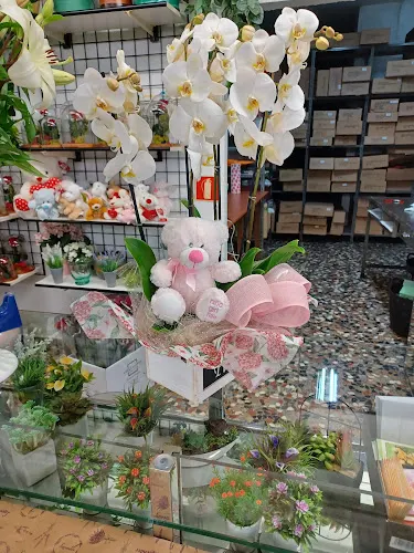 Floristería Encarnita