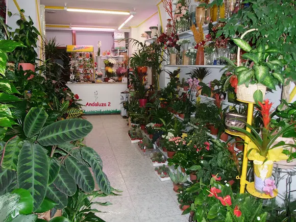 Andaluza Floristerias 2