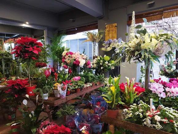 Floristeria | Santa Marta