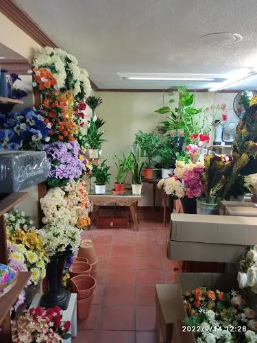 Floristería Rosa