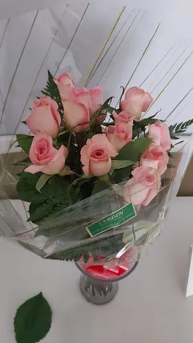 Floristería Jardín