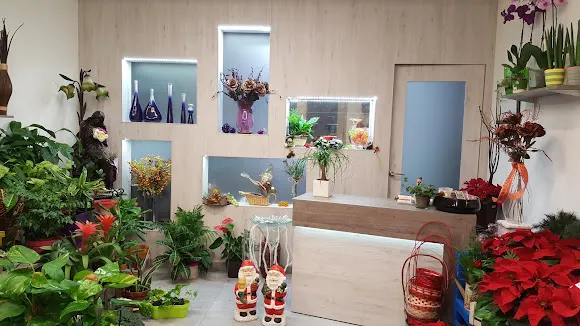 FLORISTERIA LUCIAMOR - Villamayor de Santiago