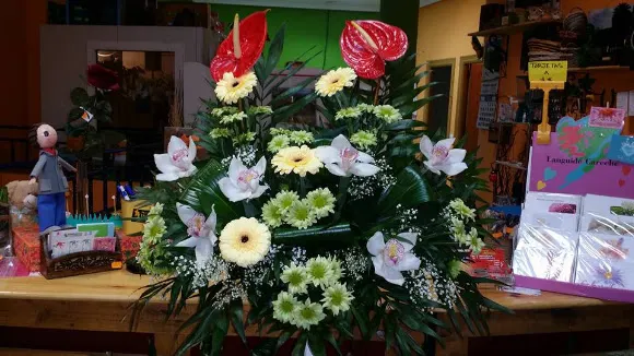 Flores Iris