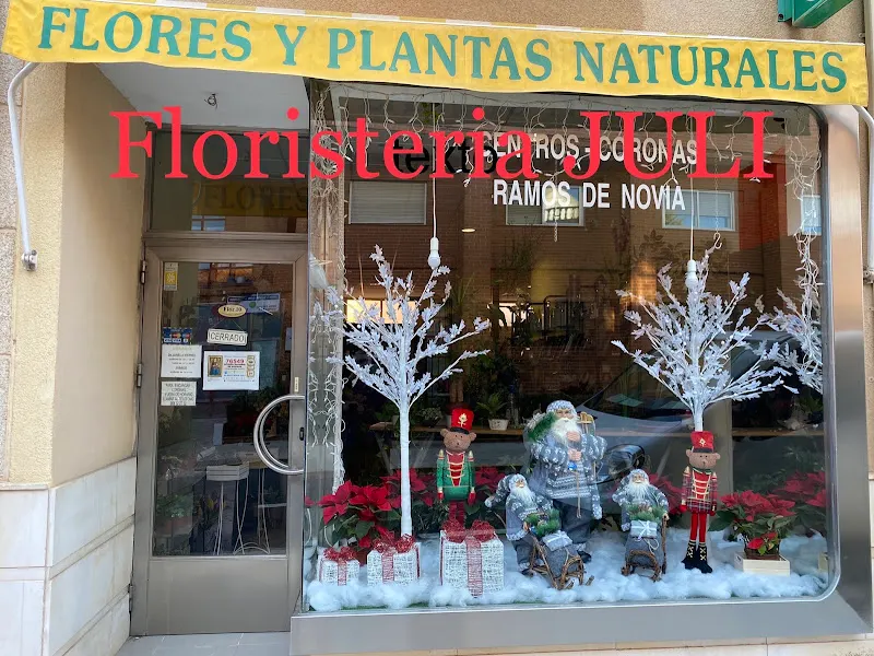 FLORISTERIA JULI - Tarancón