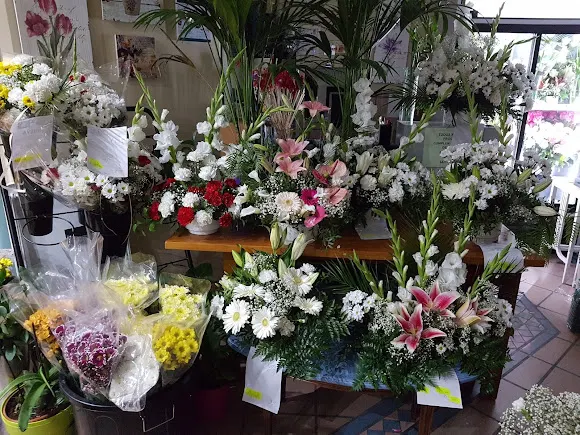 Floristería BARAJAS
