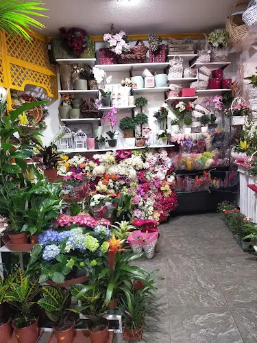 González Floristas