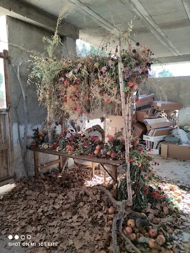 Floristería Aragón