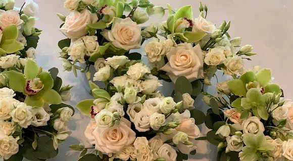 ROSE DE POMPADOUR