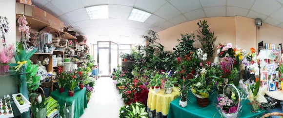 Floristeria Eulàlia - Hostalric