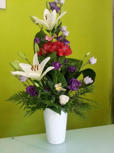 Floristeria Nenufar