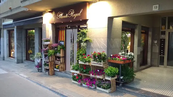 Floristería Planti Regal - Floristería en Torroella de Montgrí