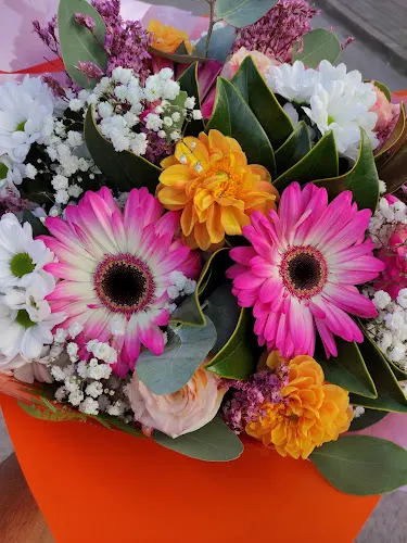 Flors Laguarda